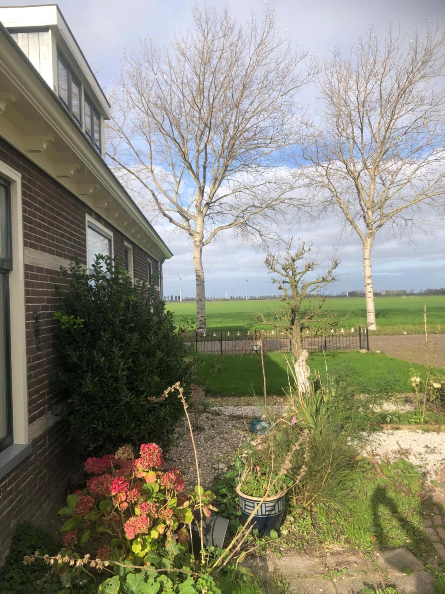 Appartement In Schuur Twisk Buitenkant foto